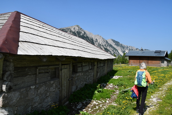 ...oder zur Matschacher Alm