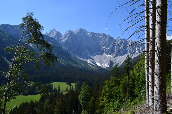 ...noch ein weiter Weg...