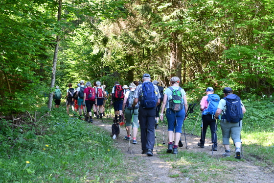 Richtung M&auml;rchenwiese...