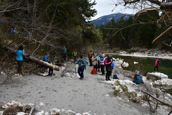 Rast am Gailfluss