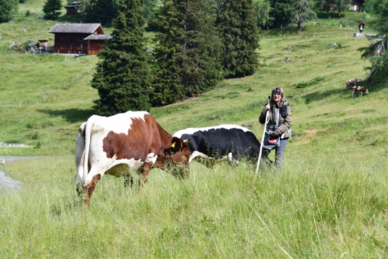 Sennerin Gundula bei ihrer Arbeit
