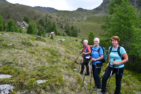 im Hintergrund die Goasele H&uuml;tte - 